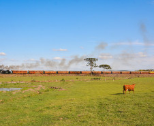 Trem dos Tropeiros 003