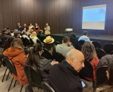 Pré-Conferência de governanças regionais 002