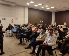 Pré-Conferência de governanças regionais 003