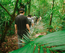 Grande Reserva da Mata Atlântica 003