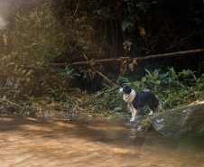 Feirão Nacional do Turismo 001