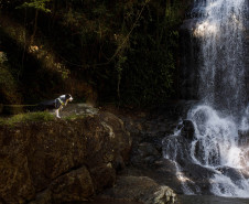 Feirão Nacional do Turismo 002