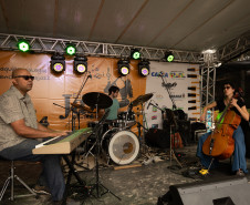 Encantadas Jazz 004