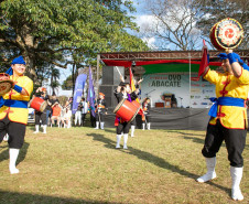 Festas de Agosto 007