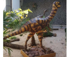 Vale dos Dinossauros 005