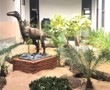Vale dos Dinossauros 006