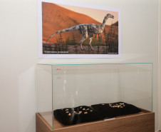 Vale dos Dinossauros 0011