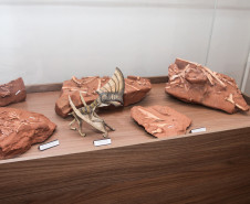 Vale dos Dinossauros 0013