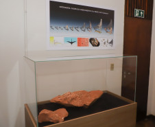 Vale dos Dinossauros 0016