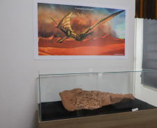 Vale dos Dinossauros 0017