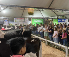 Feira do melado 007