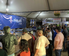 Feira do melado 0010