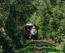 Trem Morretes 003