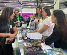 Feira no Paraguai 007