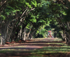 PIB do turismo 008