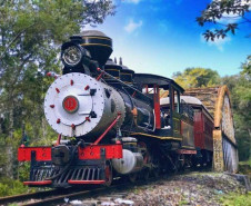 passeio de trem  do verão 001