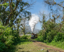 passeio de trem  do verão 005