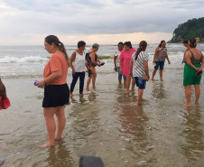 Paraná + Viagem 008