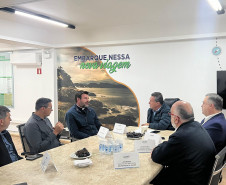 Apucarana em 2025 007