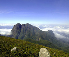 Rota Coração da Mata Atlântica 0011