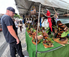 Largo da Ordem e Mercadão de Maringá 002
