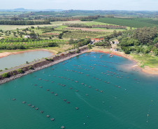 Norte do Paraná 002