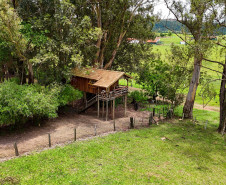 Norte do Paraná 004