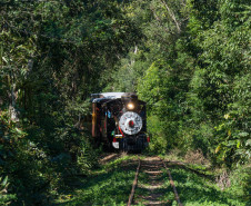 Passeio de trem temático 003