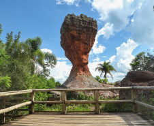 Paraná em janeiro 002