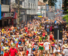 Carnaval do Paraná 006