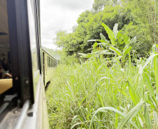 Estrada de Ferro Paranaguá desenvolvimento 0011