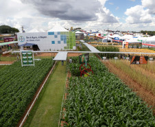 Show Rural 2025 bate recordes 006