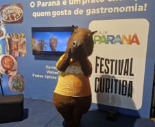 Festival de Curitiba 004