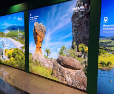 WTM Latin America 002