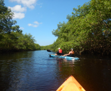 Viajantes + Seguras 0013