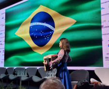 abertura do Festival 006