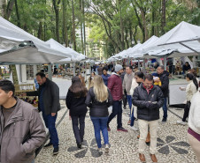 Festival de Inverno de Curitiba 002
