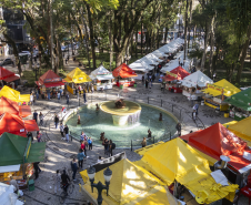 Festival de Inverno de Curitiba 004