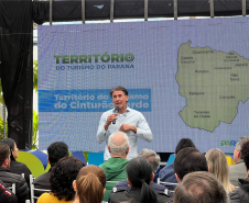 CINTURAO VERDE 002