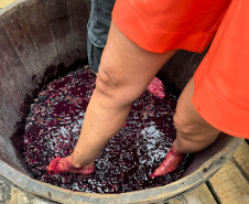 mapa do vinho 003