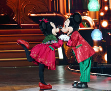 Natal da Disney 001
