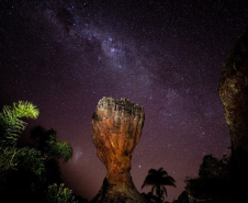 Turismo noturno 006