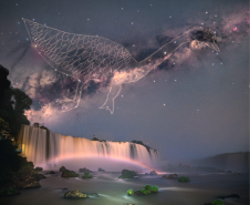 Cosmos do Iguaçu 001