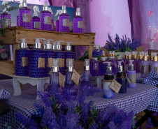 festival da primavera