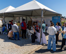 festival da primavera