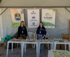 festival da primavera