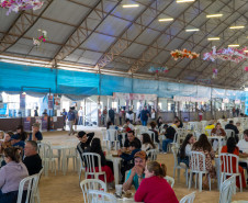 festival da primavera