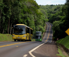 Consolidando o Crescimento: Emprego no Turismo do Paraná cresce 6,64% em 2025, impulsionado por setores chave e regiões estratégicas