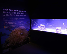 Foz do Iguaçu ganha um dos maiores aquários da América do Sul