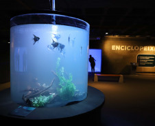 Foz do Iguaçu ganha um dos maiores aquários da América do Sul